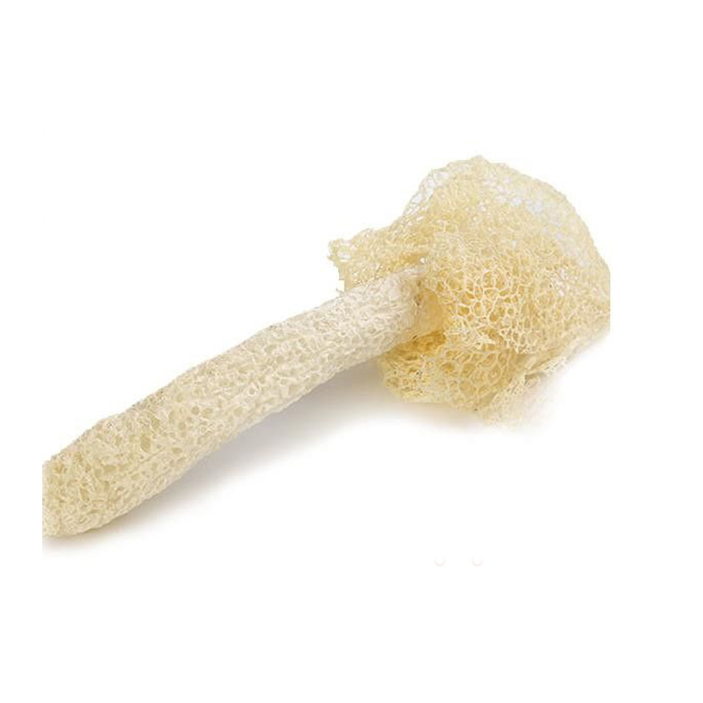 Dried Bamboo Fungus Fresh Groceries Delivery Redtick